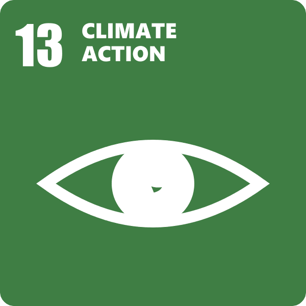 SDG 13 · Climate action